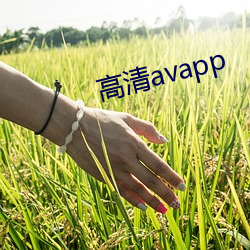 高(高)清avapp