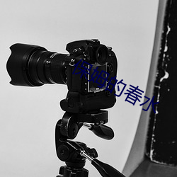 保(保)姆的(的)春水