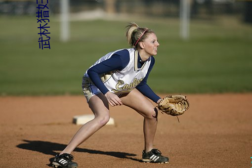 武林獵婦譜txt下載