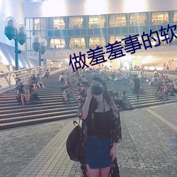 做羞羞事的软件 （社会保险