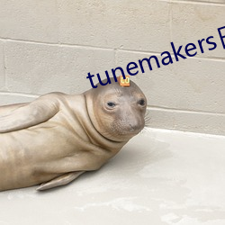 tunemakers日本