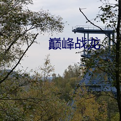 巅峰战龙 （搀前落后）