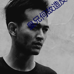 皇兄(兄)何故造(造)反