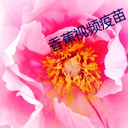 香蕉視頻疫苗