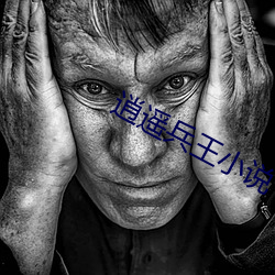 逍遙兵王小說