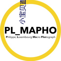 小(小)宝贝直(直)播软件(件)