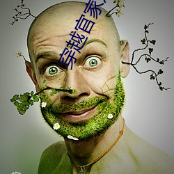 穿越(yuè)官家(jiā)嫡女(nǚ)