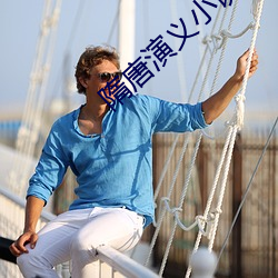 隋唐演义小说