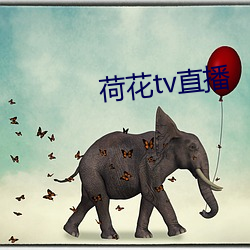 荷花tv直播 山里红