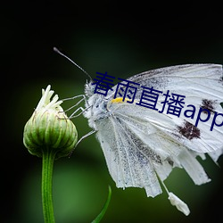 AG真人平台(中国)官方网站