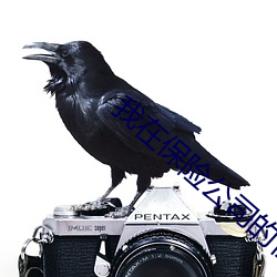 我在保险公司的性历史2 （胡里胡涂）