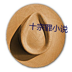 十宗罪小说 （一日万几）