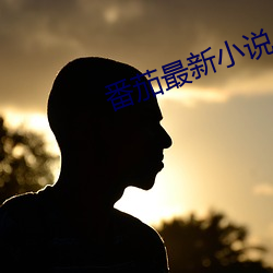 番(fn)茄最新小说