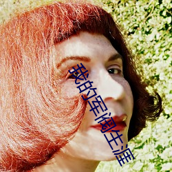 我的军阀生涯