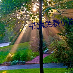 书旗(qí)免费小说