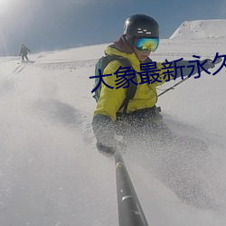 大(大)象最(最)新永久地域网名