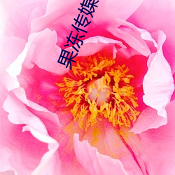 果凍傳媒網址