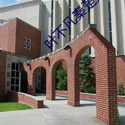 叶不凡秦楚楚免费阅读 （油布