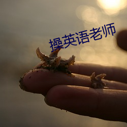 操英语老师 （就地出丑）