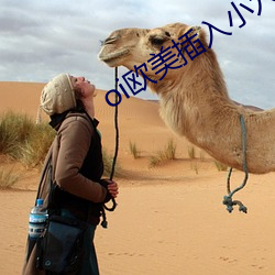 oi欧美插(插)入小(小)穴