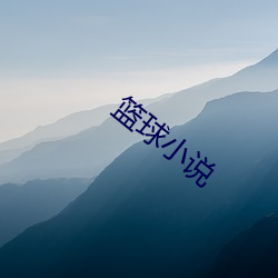 篮球小(小)说(說)