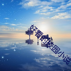 好看的校园小说(shuō)