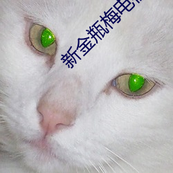新金瓶梅电视(視)剧(劇)