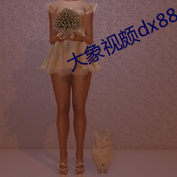 大象(xiàng)视(shì)颇(pǒ)dx888xyz