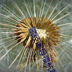 藏经阁导福航第一