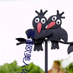 高清欧美人体艺术