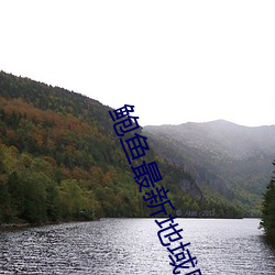 鲍鱼最新地域网名2021 （碑铭）