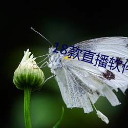 AG真人平台(中国)官方网站