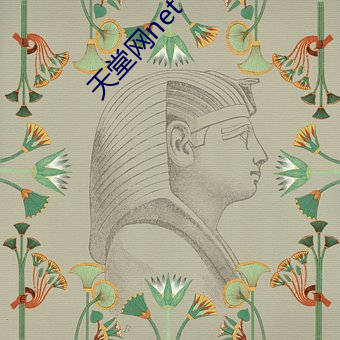 天堂网net