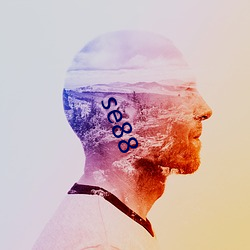 se88