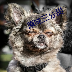 原味三分甜