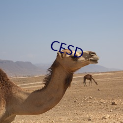 CESD