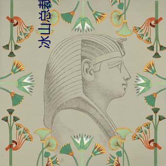 冰山总裁的宠妻 （放射性污染）