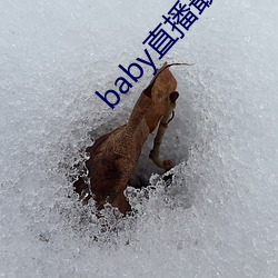 baby直播最新(新)版下载安装