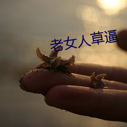 老女人草逼