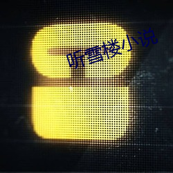 听雪楼小说