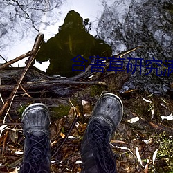 尊龙凯时·(中国)官方网站