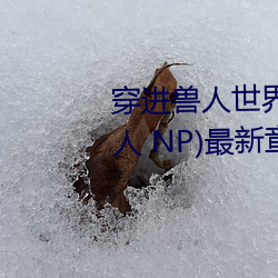 穿进兽人世界被种种吃干抹净(兽人 NP)最新章节