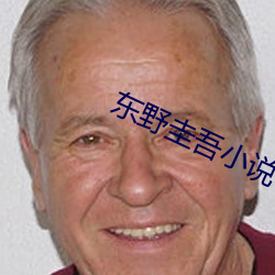 東野圭吾小說
