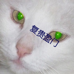 复(fù)贵盈门