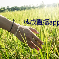 成版直播app下載大全