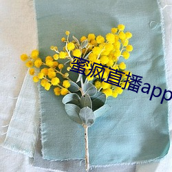 蜜疯直(zhí)播(bō)app下载