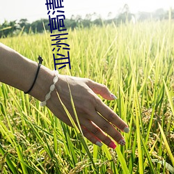918博天堂·(中国)手机版客户端