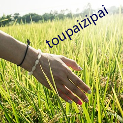 toupaizipai （愆期）