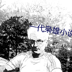 一代枭雄小說