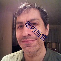 衙内当官